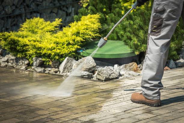 Best Patio and Deck Pressure Washing  in St Paul, MN